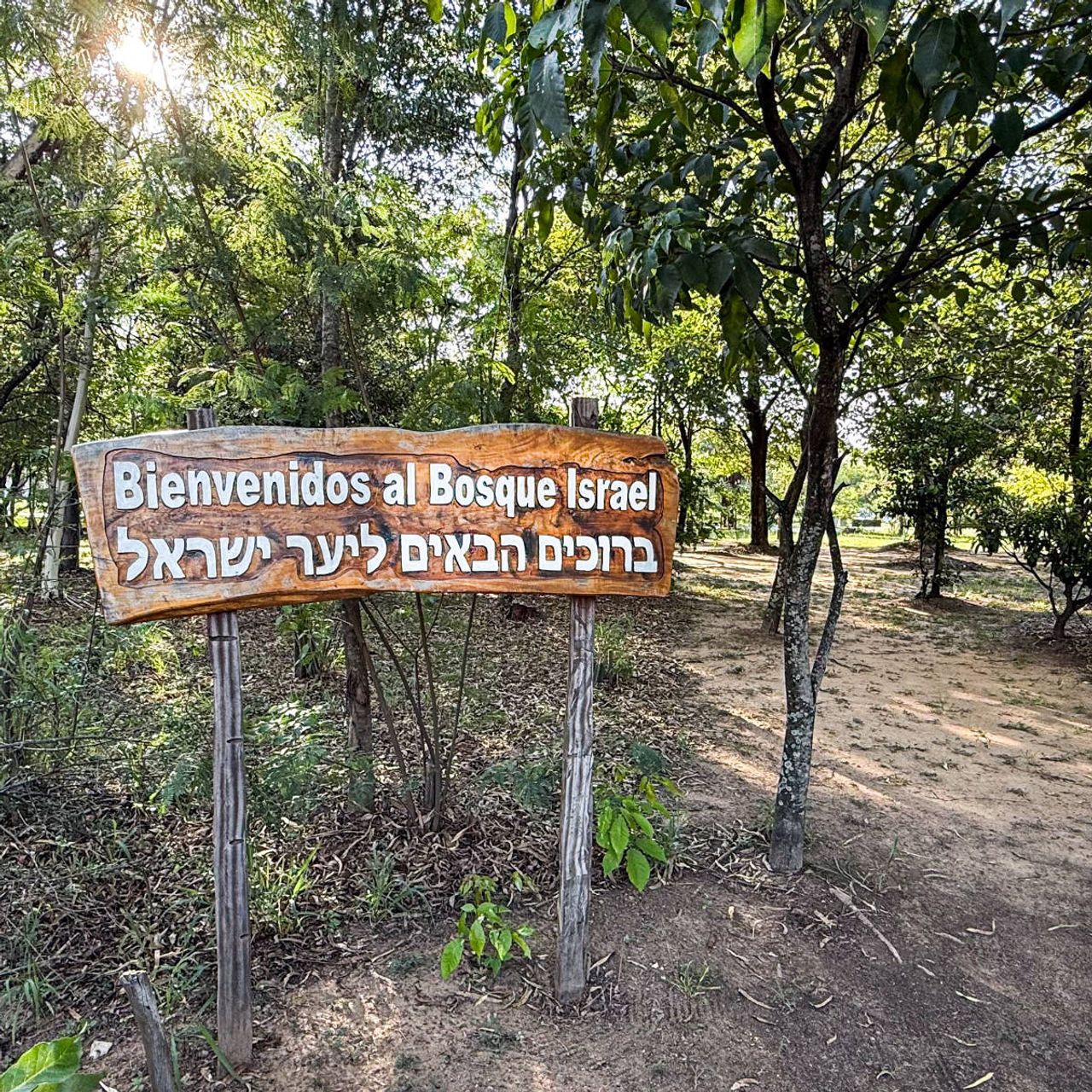 Dr. Benjamín Pérez Matos participó en la plantación de un árbol en el “Bosque Israel” de Asunción
